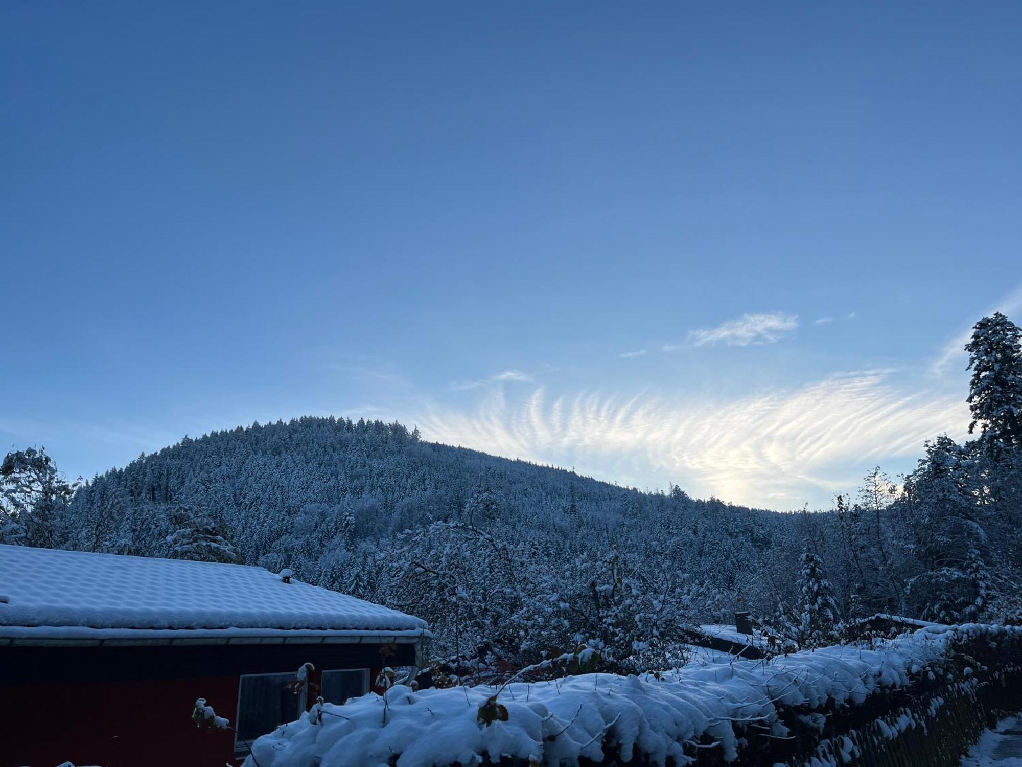 Waldhaus Max Lejlighed Bad Wildbad Eksteriør billede