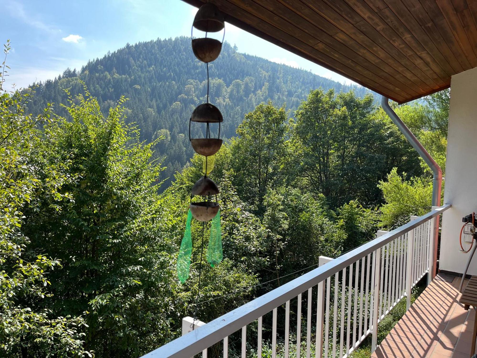 Waldhaus Max Lejlighed Bad Wildbad Eksteriør billede